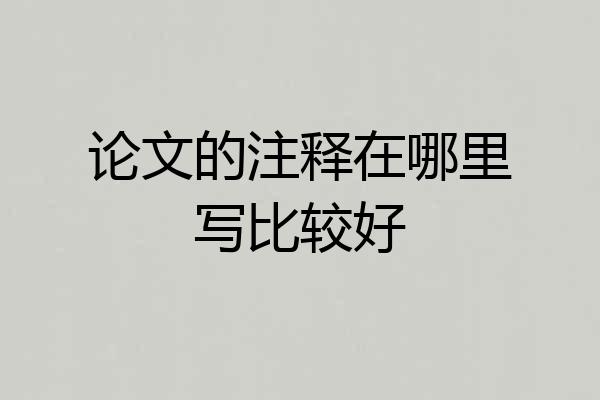 论文的注释在哪里写比较好