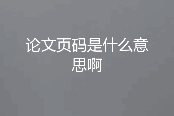 论文页码是什么意思啊