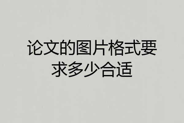 论文的图片格式要求多少合适