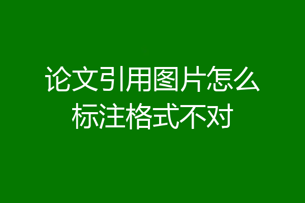 论文引用图片怎么标注格式不对