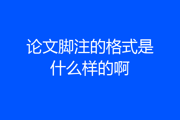 论文脚注的格式是什么样的啊
