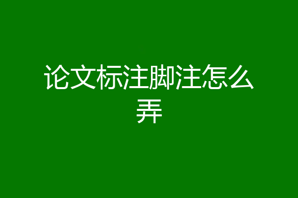 论文标注脚注怎么弄