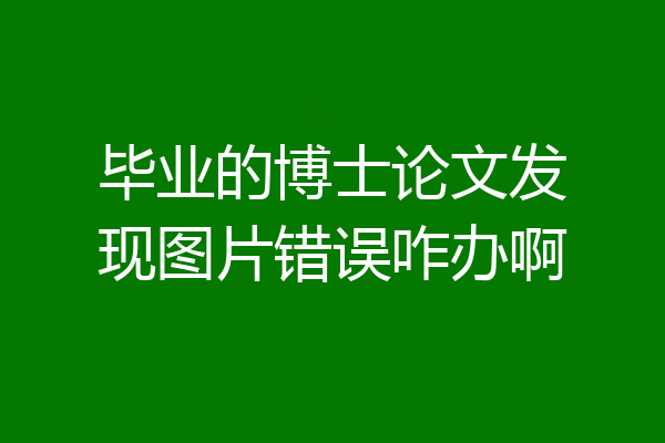 毕业的博士论文发现图片错误咋办啊