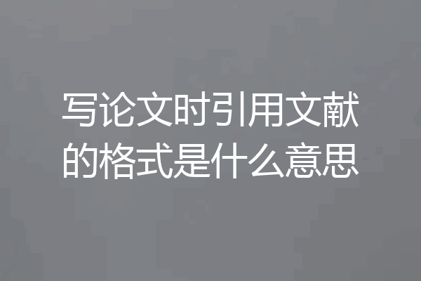 写论文时引用文献的格式是什么意思