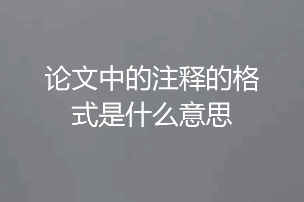 论文中的注释的格式是什么意思