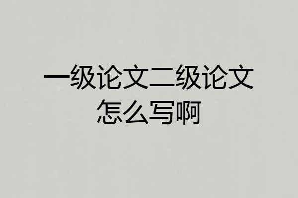 一级论文二级论文怎么写啊