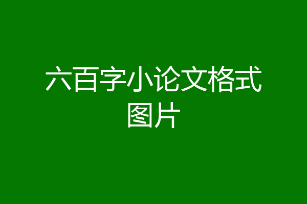 六百字小论文格式图片