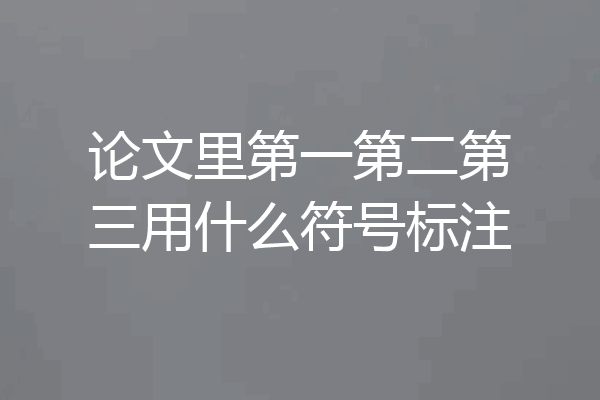 论文里第一第二第三用什么符号标注