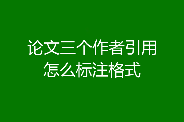 论文三个作者引用怎么标注格式