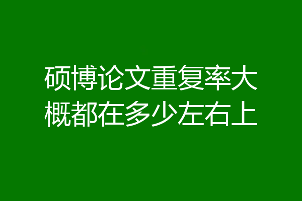 硕博论文重复率大概都在多少左右上