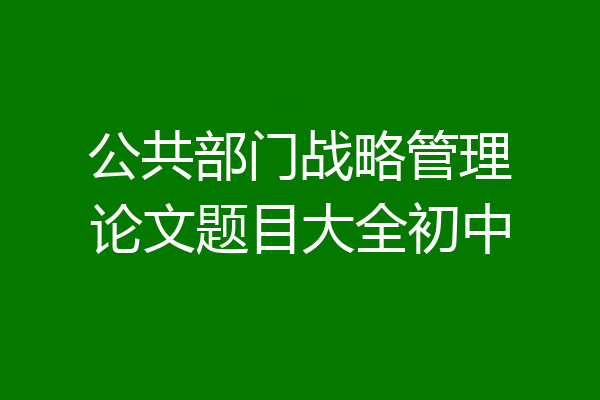 公共部门战略管理论文题目大全初中