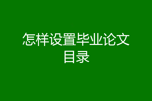 怎样设置毕业论文目录