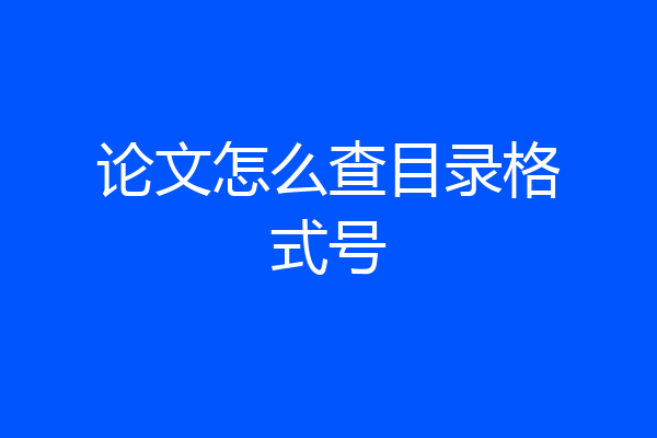 论文怎么查目录格式号