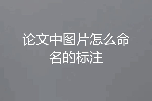 论文中图片怎么命名的标注
