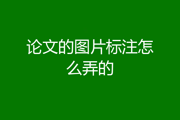 论文的图片标注怎么弄的