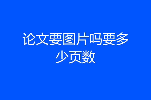 论文要图片吗要多少页数