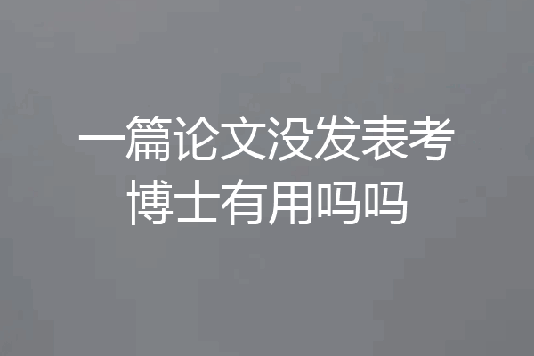 一篇论文没发表考博士有用吗吗