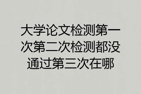 大学论文检测第一次第二次检测都没通过第三次在哪