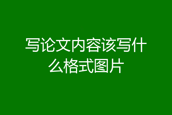 写论文内容该写什么格式图片