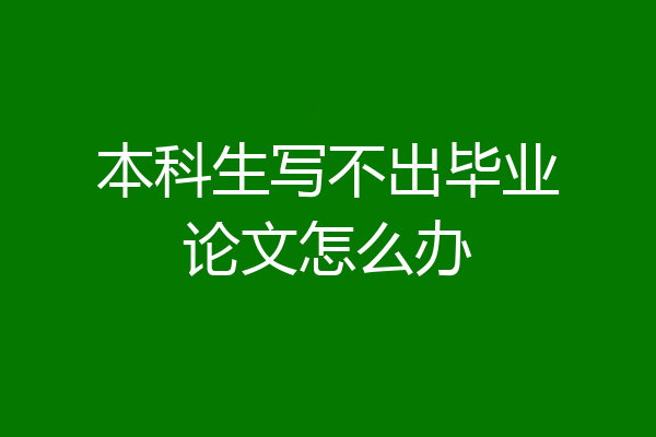 本科生写不出毕业论文怎么办