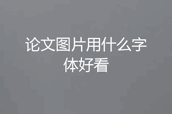 论文图片用什么字体好看