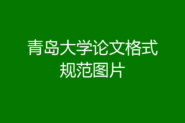青岛大学论文格式规范图片