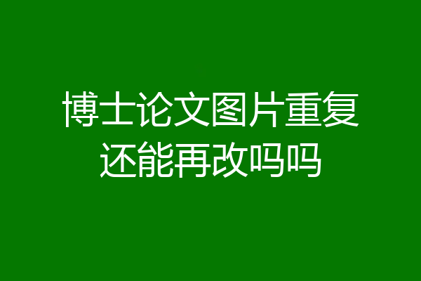 博士论文图片重复还能再改吗吗