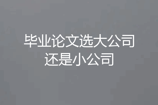 毕业论文选大公司还是小公司