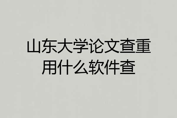 山东大学论文查重用什么软件查
