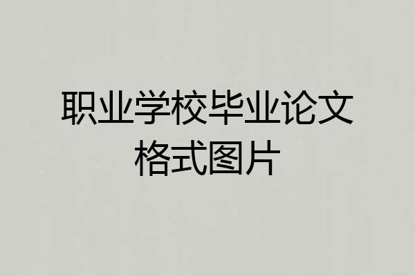 职业学校毕业论文格式图片