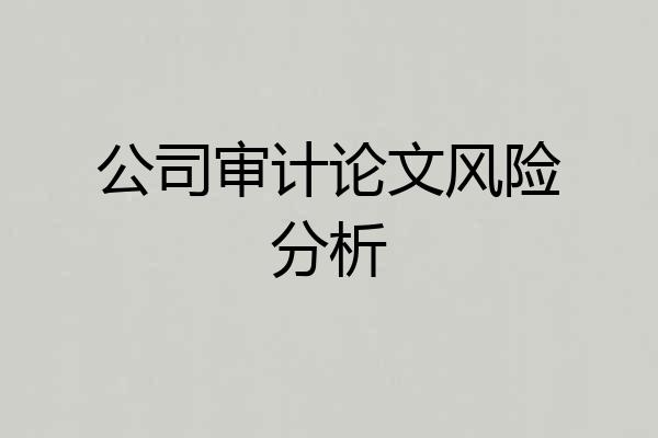 公司审计论文风险分析