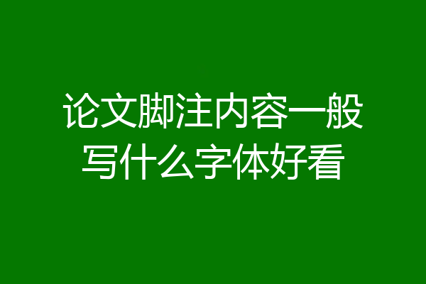 论文脚注内容一般写什么字体好看