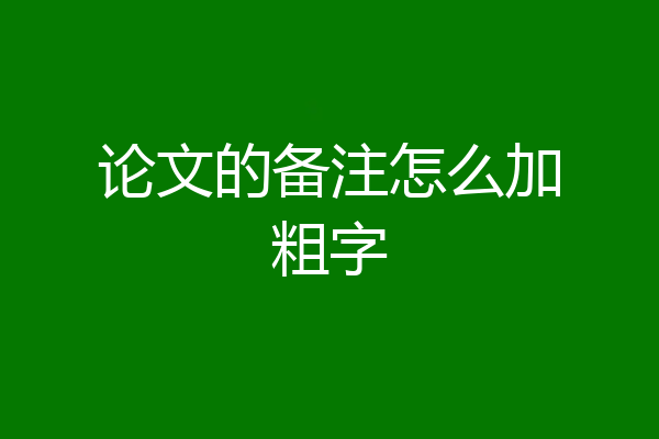 论文的备注怎么加粗字