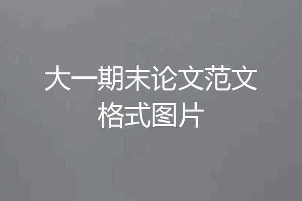 大一期末论文范文格式图片