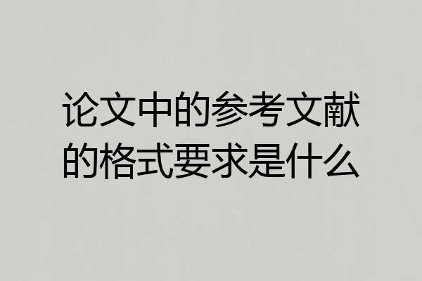 论文中的参考文献的格式要求是什么