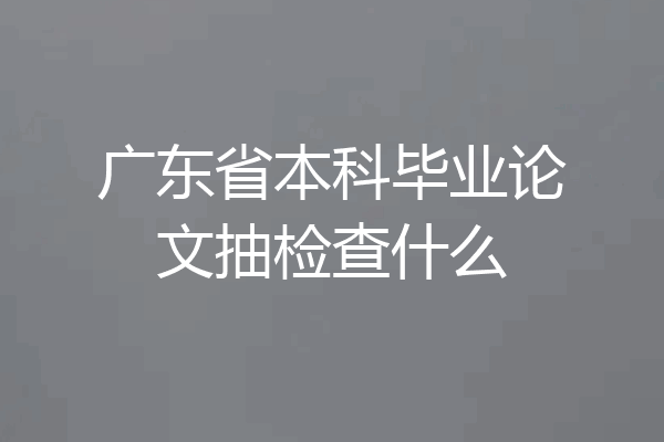 广东省本科毕业论文抽检查什么