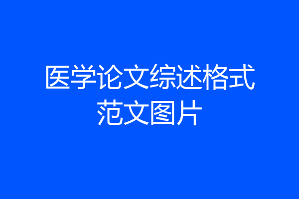 医学论文综述格式范文图片