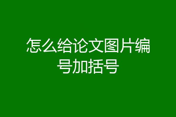 怎么给论文图片编号加括号
