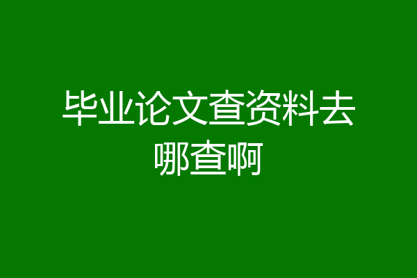 毕业论文查资料去哪查啊