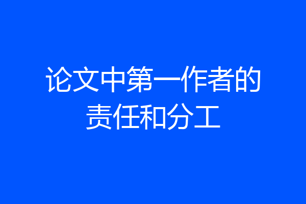 论文中第一作者的责任和分工