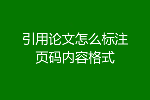 引用论文怎么标注页码内容格式