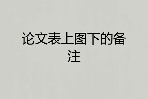 论文表上图下的备注