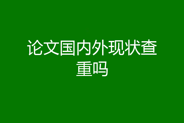 论文国内外现状查重吗