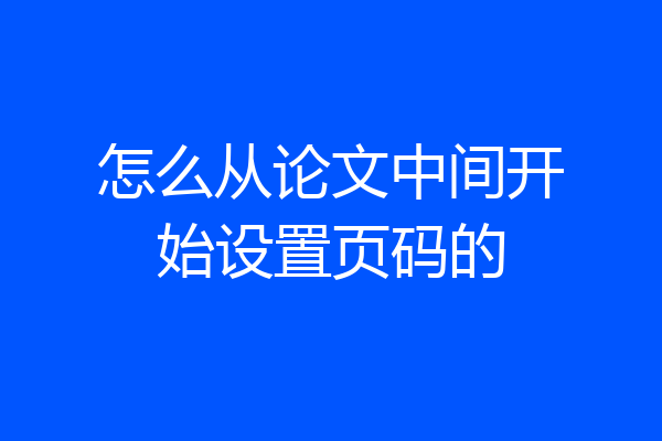 怎么从论文中间开始设置页码的