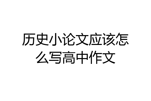 历史小论文应该怎么写高中作文