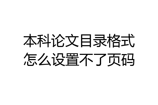 本科论文目录格式怎么设置不了页码
