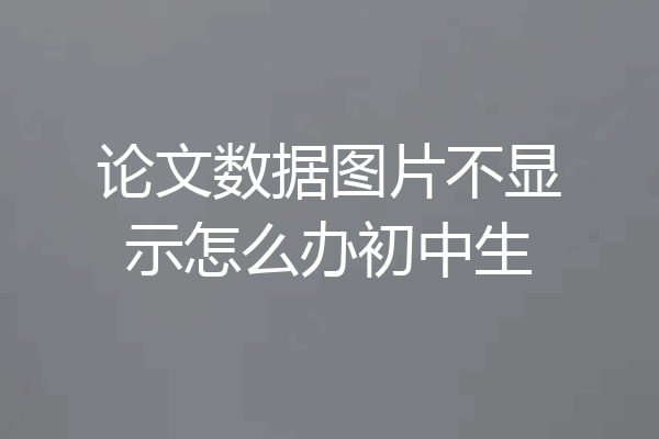 论文数据图片不显示怎么办初中生