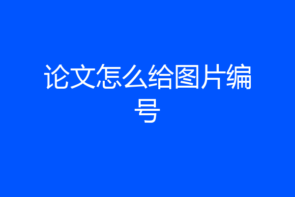 论文怎么给图片编号