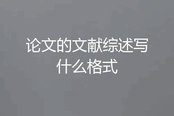 论文的文献综述写什么格式