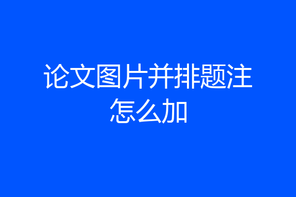 论文图片并排题注怎么加